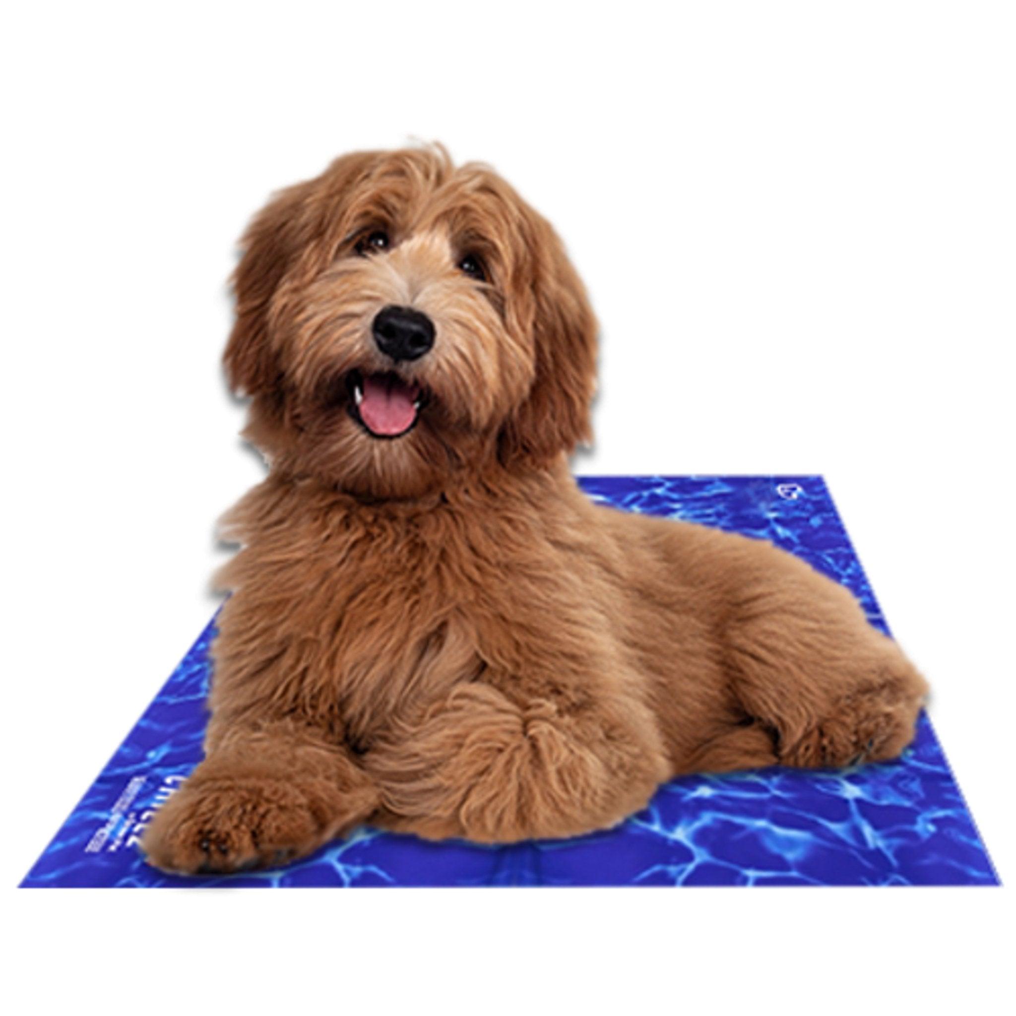 Chillz Non-Toxic Pet Cooling Gel Mat-0
