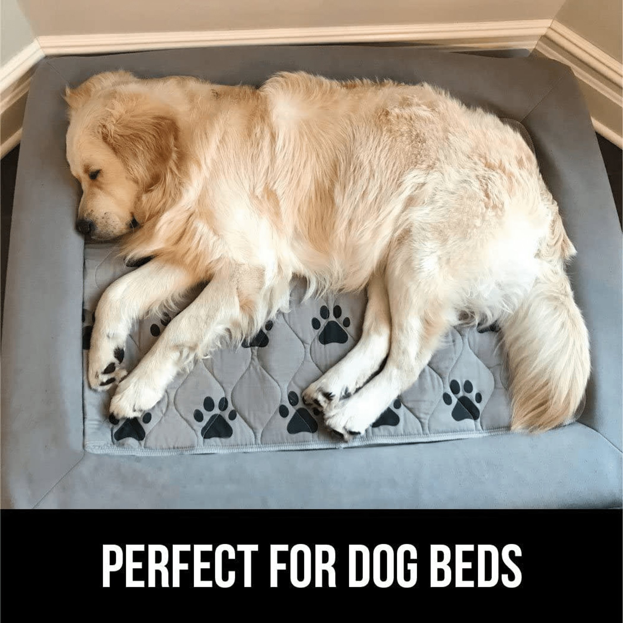 Mr. Peanut Washable Leakproof Pee Pads - 3 Pack Waterproof Comfort Mats-4